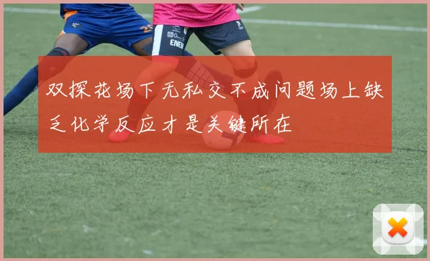 双探花场下无私交不成问题场上缺乏化学反应才是关键所在